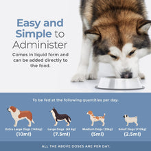 Load image into Gallery viewer, Conceive Carry Whelp
