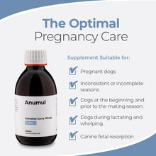 Load image into Gallery viewer, Conceive Carry Whelp