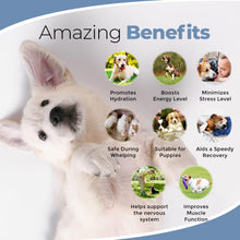 Load image into Gallery viewer, Electrolytes