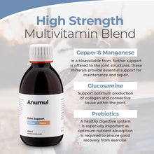 Load image into Gallery viewer, Joint Support