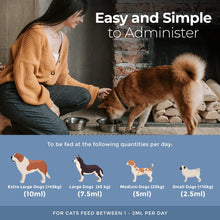 Load image into Gallery viewer, Multi Oil