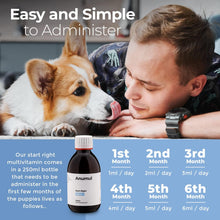 Load image into Gallery viewer, Start Right