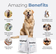 Load image into Gallery viewer, Strength And Conditioning