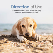 Load image into Gallery viewer, Travel Well