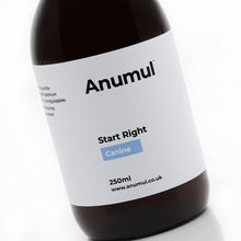 Load image into Gallery viewer, Start Right