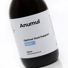 Load image into Gallery viewer, Optimal Stud Support