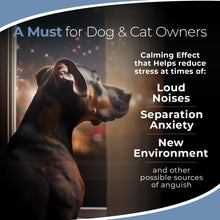 Load image into Gallery viewer, Serene
