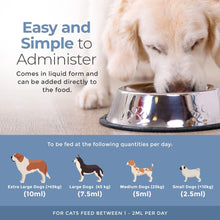 Load image into Gallery viewer, Joint Support
