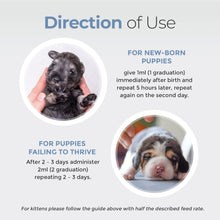 Load image into Gallery viewer, Life Saver
