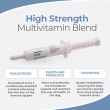 Load image into Gallery viewer, Travel Well
